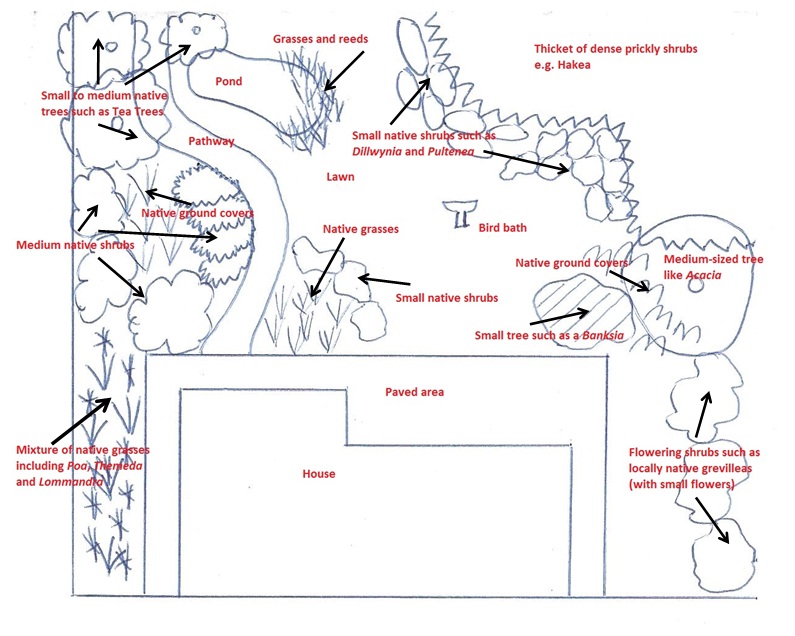 6-make-a-garden-map-birds-in-backyards